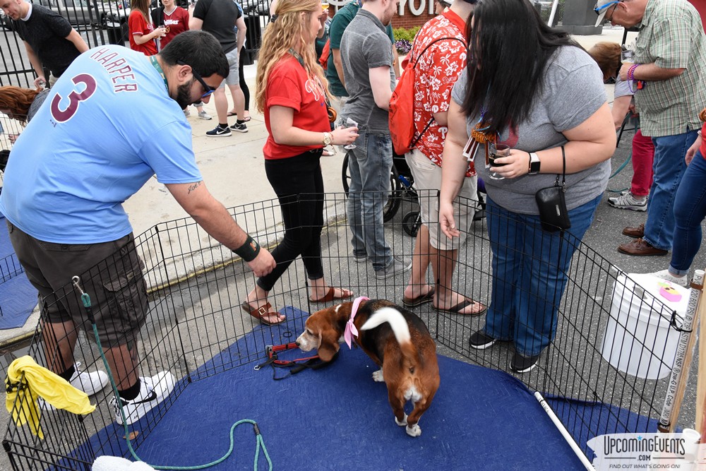 Philly All Star Festival 2019 - Gallery 5