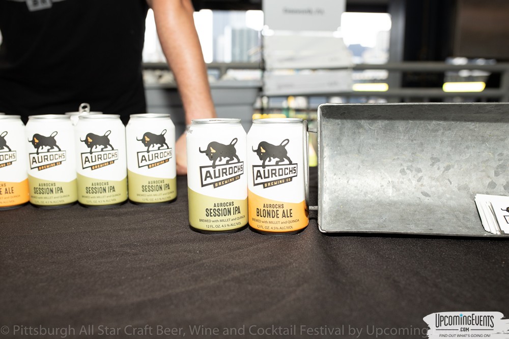 Pittsburgh All Star Festival 2019 - Gallery 3 (Session 2)