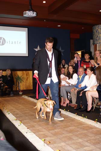 Fashion in Public (Gallery 1)