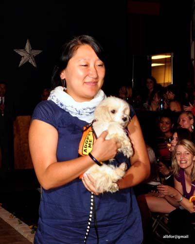 Fashion in Public (Gallery 2)