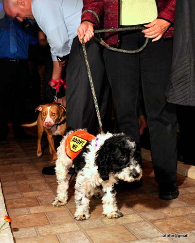 Fashion in Public (Gallery 2)