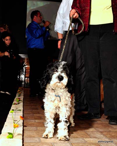 Fashion in Public (Gallery 2)