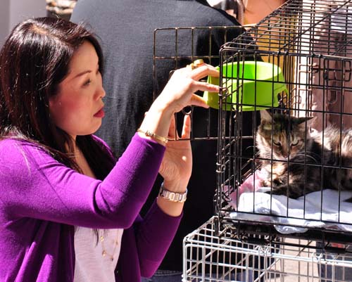 Fall Festival 2010 (Gallery 1)