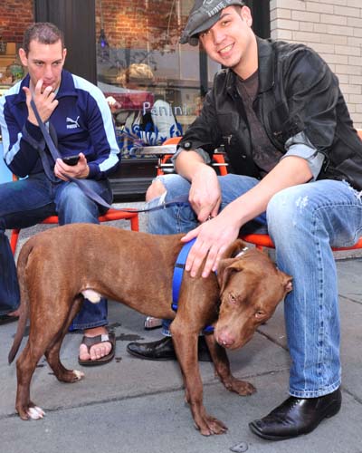 Fall Festival 2010 (Gallery 1)