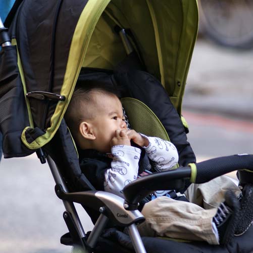 Fall Festival 2010 (Gallery 2)