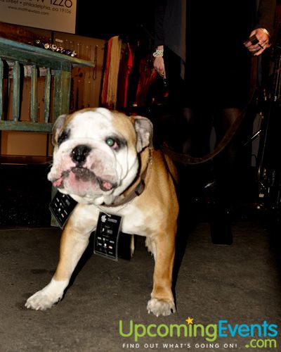 Philly Fashion Week 2010 (Friday - Gallery 2)