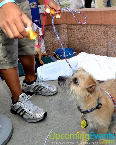 Beerfest @ The Ballpark (Gallery 1)