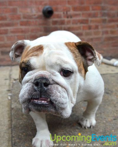 Midtown Festival (Gallery 2)