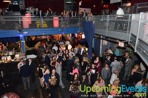 Utley All Star Animals Casino Night