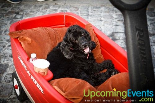 Night Market Mt Airy