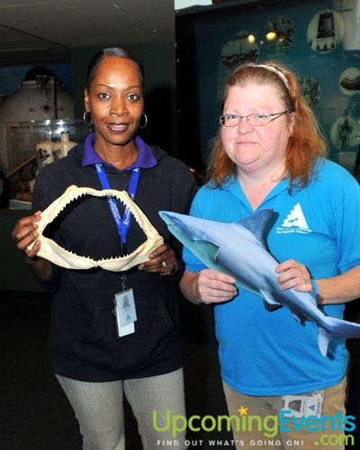 Old City Seaport Festival