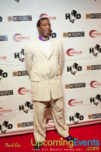 Hair O' The Dog (Gallery B)