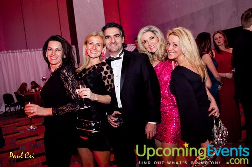 Hair O' The Dog (Gallery B)