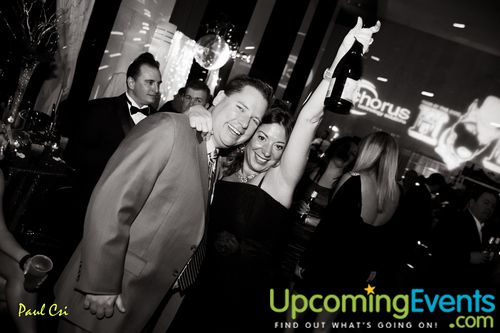 Hair O' The Dog (Gallery A)