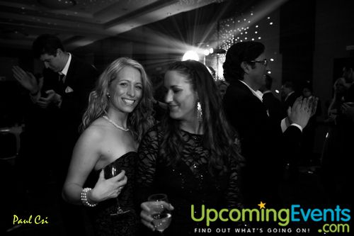 Hair O' The Dog (Gallery A)