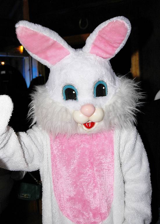 15th Annual Bunny Hop! (Gallery C)
