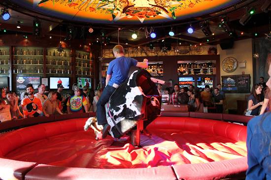 Xtoberfest 2013 (Gallery A)