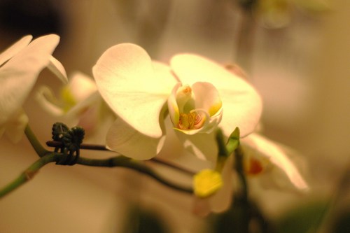 Young Professionals After-Work Networking Happy Hour