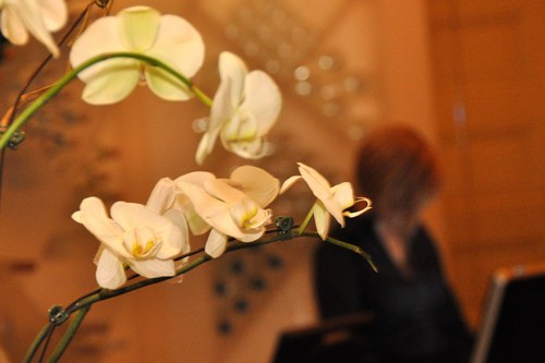 Young Professionals After-Work Networking Happy Hour