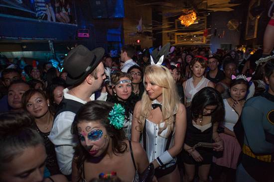 Vampires + Vixens 2013