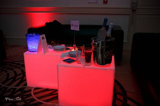 Hair 'O The Dog 2014