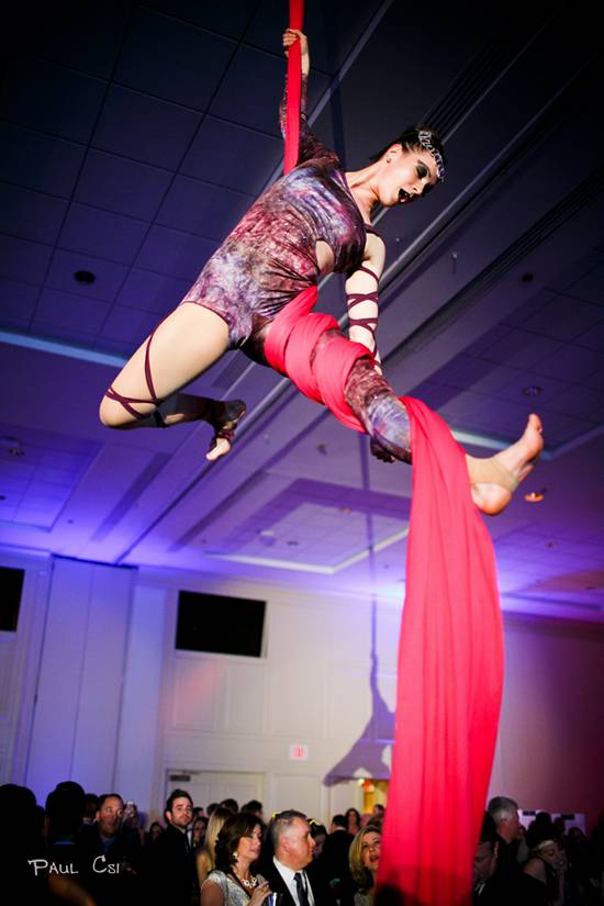 Hair 'O The Dog 2014