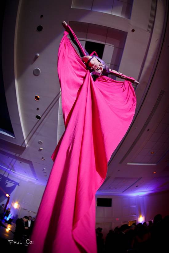 Hair 'O The Dog 2014