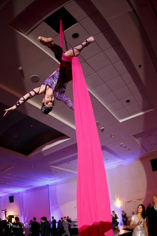 Hair 'O The Dog 2014