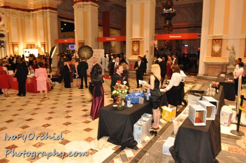 The 2009 Red Ball at The Please Touch Museum