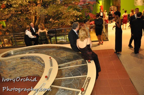 The 2009 Red Ball at The Please Touch Museum