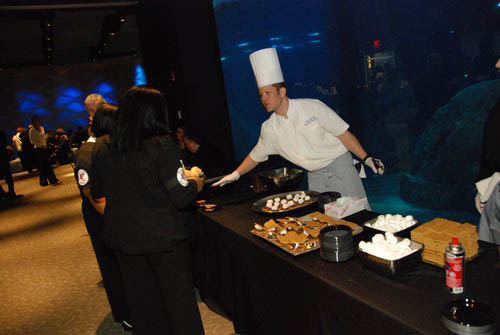 Hot Chocolate @ The Adventure Aquarium