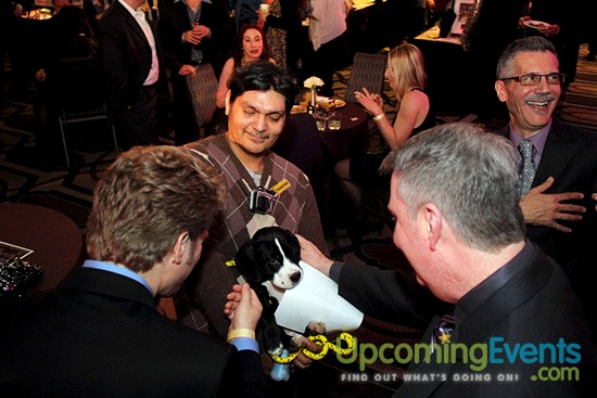 The 18th Annual Fur Ball