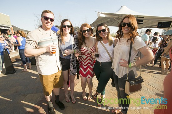 Springfest Live! Craft Beer Fest (Gallery D)
