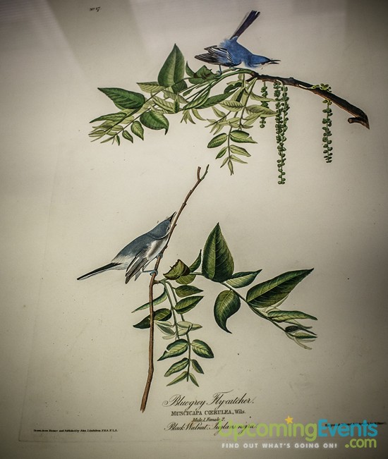 Philadelphia Restaurant Festival 2016