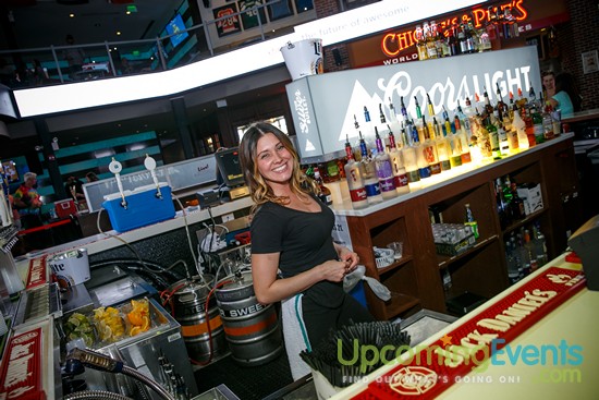 Springfest Live! 2016 (Gallery A)