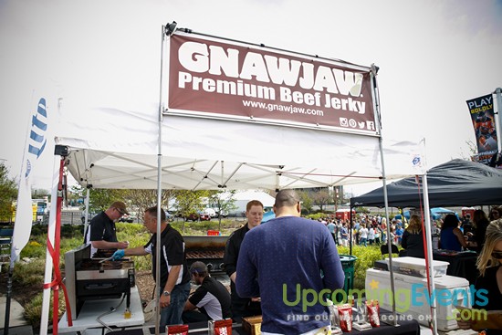 Springfest Live! 2016 (Gallery A)