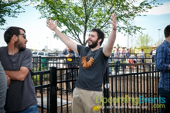 Springfest Live! 2016 (Gallery A)