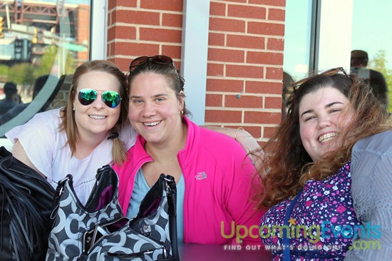 Springfest Live! 2016 (Gallery D)