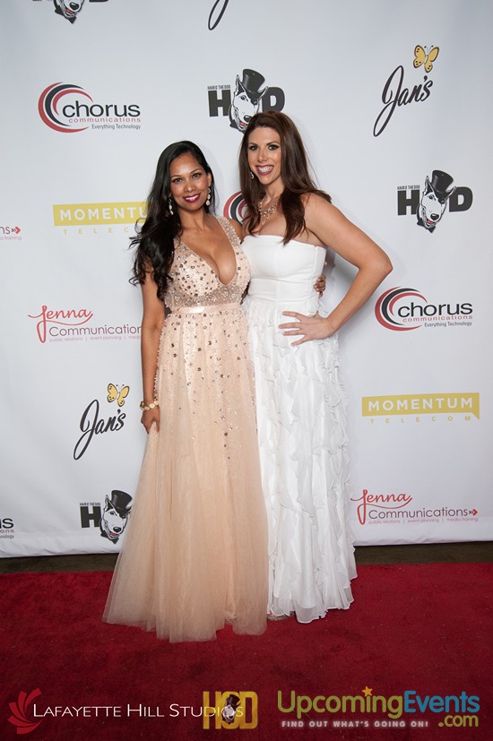 Hair O' The Dog 2017 (Red Carpet)