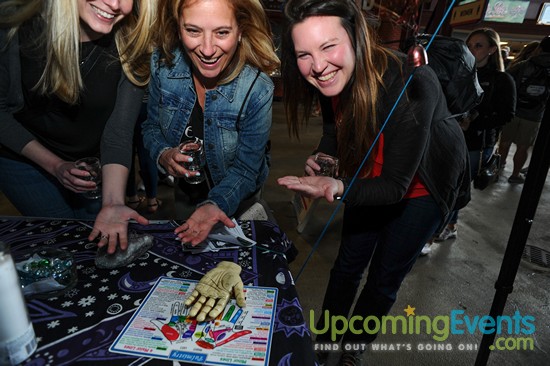 All Star Craft Beer & Wine Festival - Gallery 7