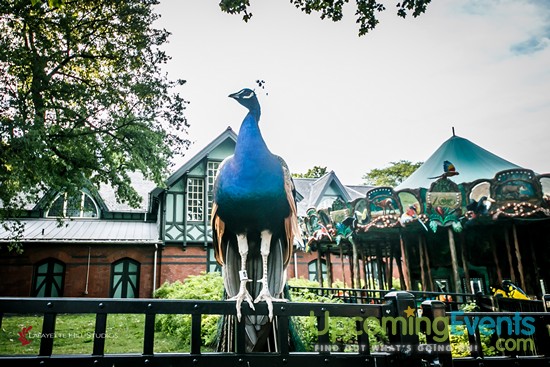 Summer Ale Festival at The Zoo!