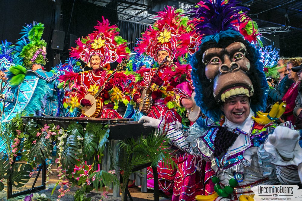 Mummers Mardi Gras Festival (Candid Gallery 2)