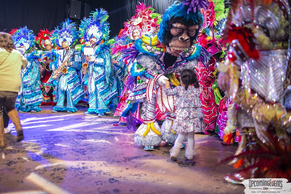 Mummers Mardi Gras Festival (Candid Gallery 2)