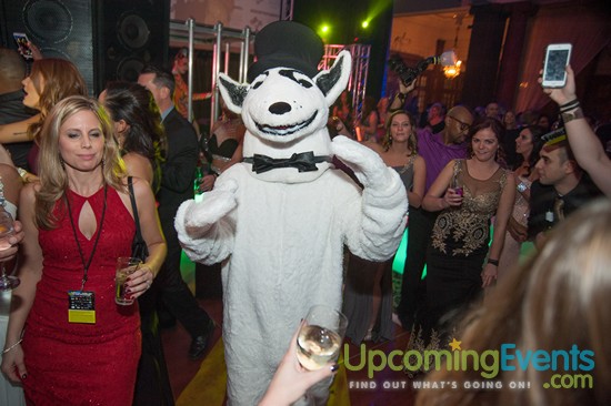 Hair O' The Dog 2016 (Gallery 2)