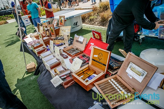 Springfest Live! 2016 (Gallery A)