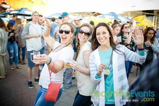 Springfest Live! 2016 (Gallery A)