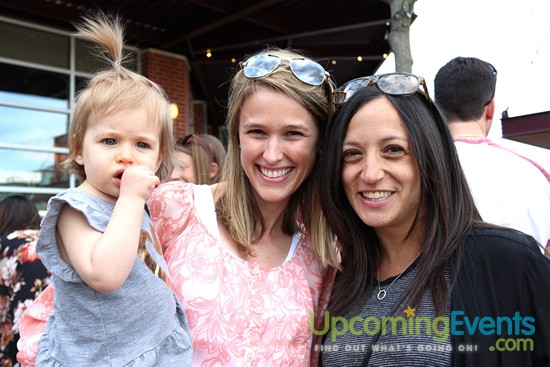 Springfest Live! 2016 (Gallery D)