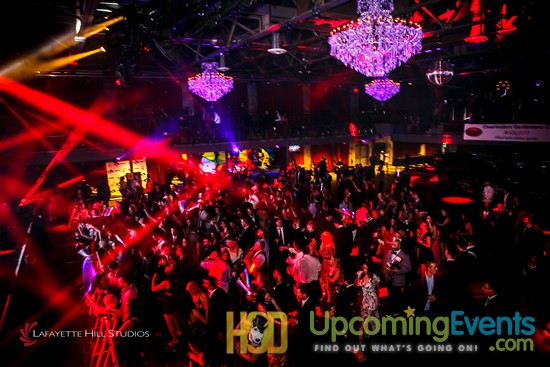 Hair O' The Dog 2017 (Candids)