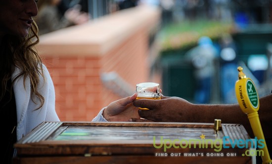 All Star Craft Beer & Wine Festival - Gallery 1