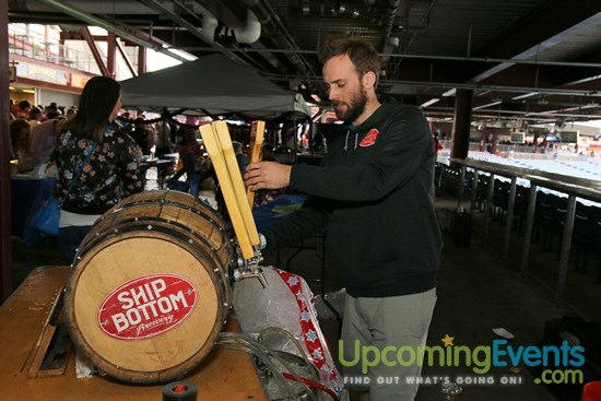 All Star Craft Beer & Wine Festival - Gallery 4